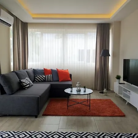 Studio Forest