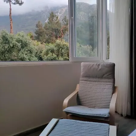 Studio Forest Fethiye